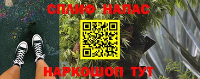 трава Партизанск