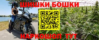 трава Партизанск
