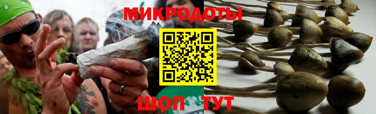Галлюциногенные грибы MAGIC MUSHROOMS  Галлюциногенные грибы Psilocybe  Вход с VPN  Саранск 
